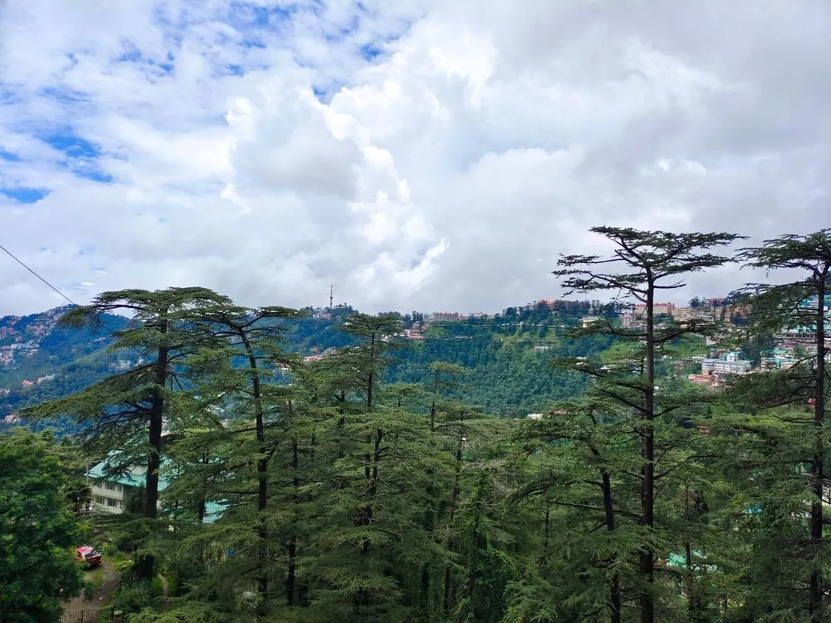Magic Stays - Shimla Royale - Free Pickup From Railway Station Shimla 2*,  India